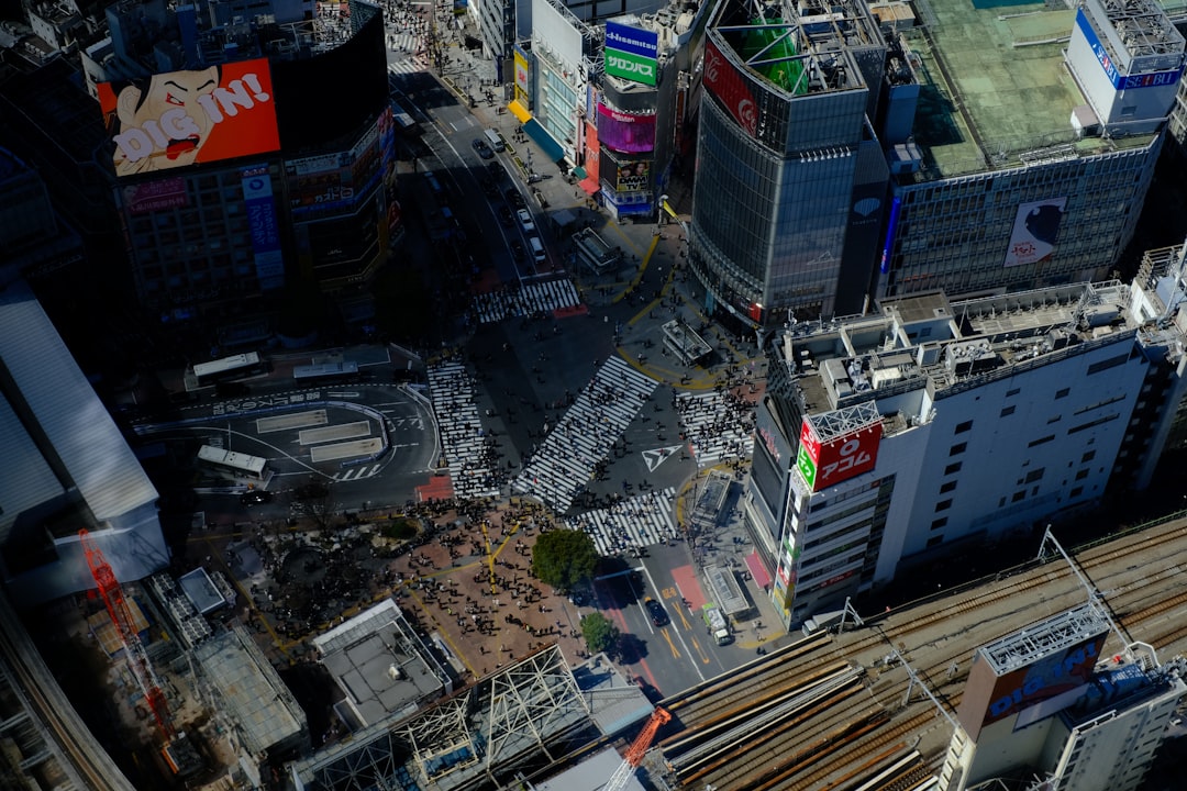 Japan earthquake disaster