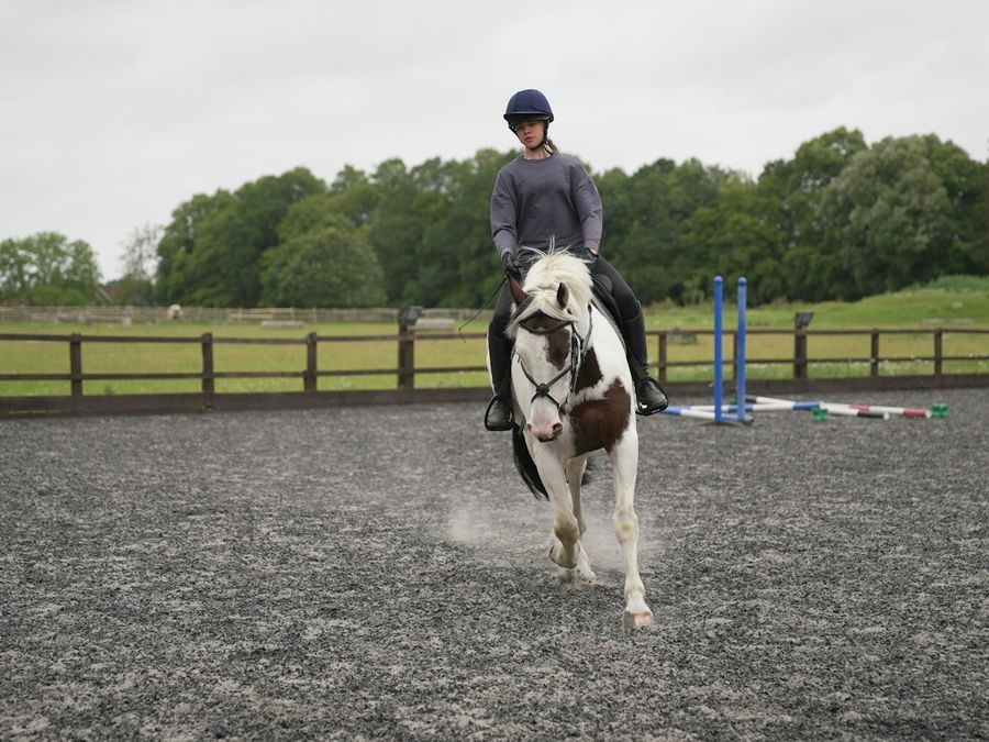 stable diffusion training